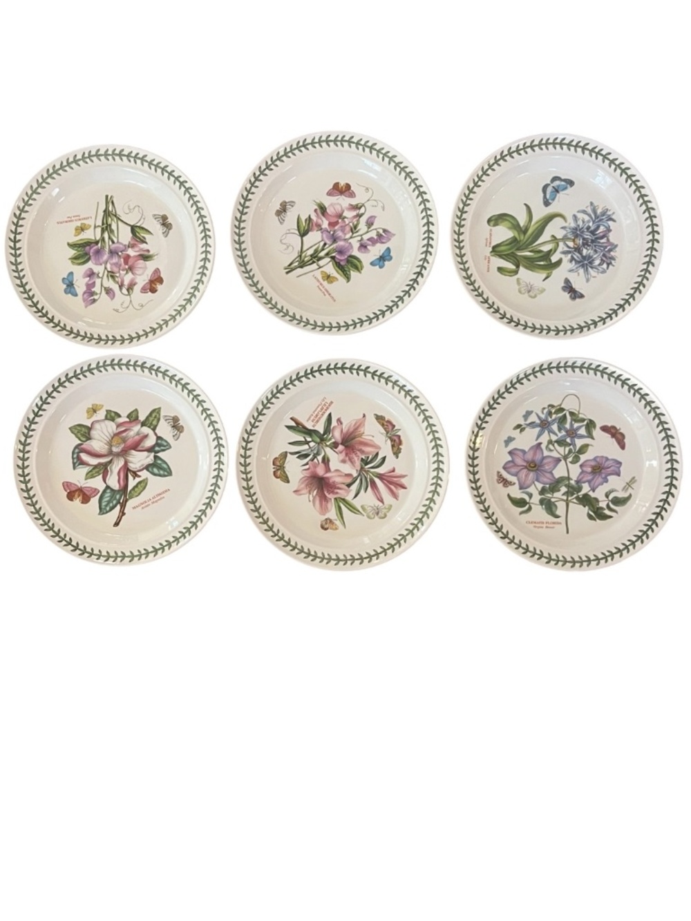Portmeirion plates